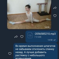 Screenshot_20200408_193920_com.viber.voip