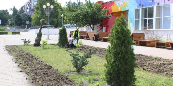 Фабрика ФорматовКультивация