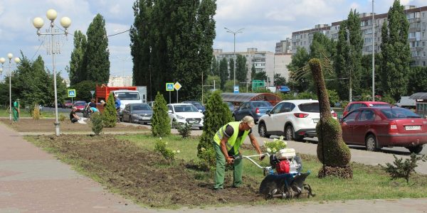 Фабрика ФорматовКультивация почвы