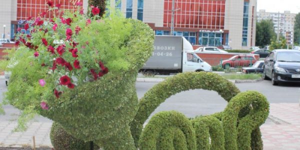 Фабрика ФорматовОбъемная клумба Валторна