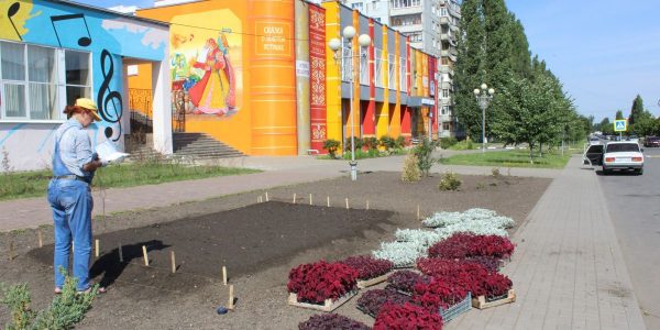 Фабрика ФорматовПосадочный материал для клумбы